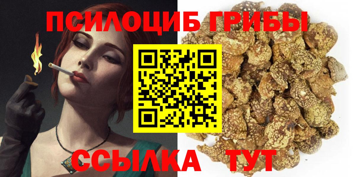 Туапсе  Галлюциногенные грибы Psilocybe  Вход с VPN 